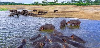 Lake Edward in Uganda