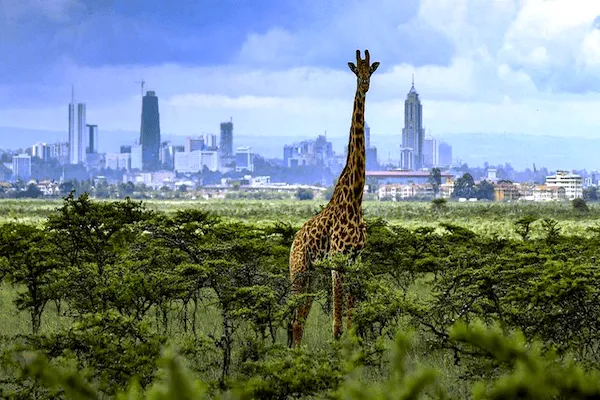 Kenya