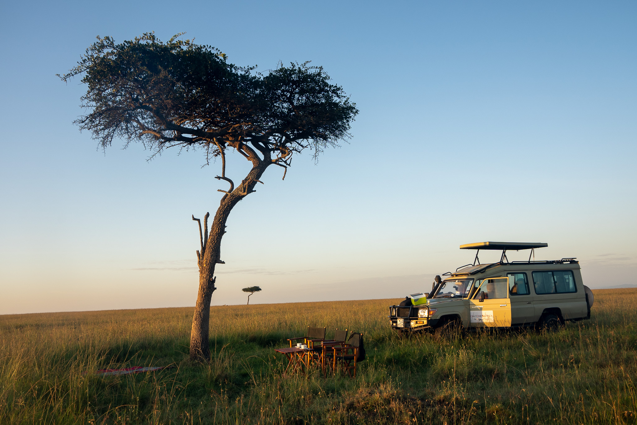 Kenya Signature Safari