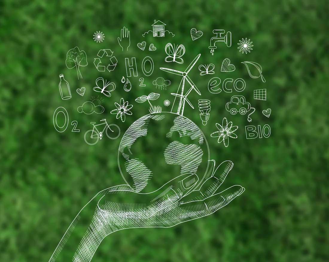 Regeneration in Practice: Lessons from the Field